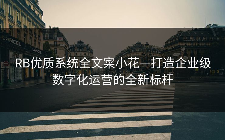RB优质系统全文寀小花—打造企业级数字化运营的全新标杆 RB优质系统全文寀小花—打造企业级数字化运营的全新标杆