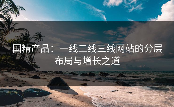 国精产品：一线二线三线网站的分层布局与增长之道