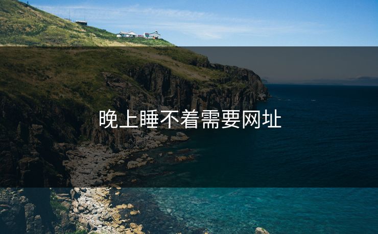 晚上睡不着需要网址 晚上睡不着需要网址