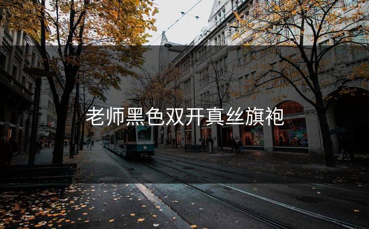 老师黑色双开真丝旗袍 老师黑色双开真丝旗袍