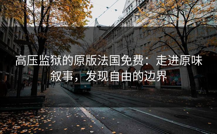 高压监狱的原版法国免费:走进原味叙事,发现自由的边界 高压监狱的原版法国免费:走进原味叙事,发现自由的边界