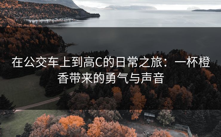 在公交车上到高C的日常之旅：一杯橙香带来的勇气与声音