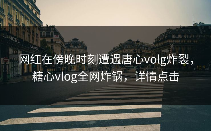 网红在傍晚时刻遭遇唐心volg炸裂，糖心vlog全网炸锅，详情点击