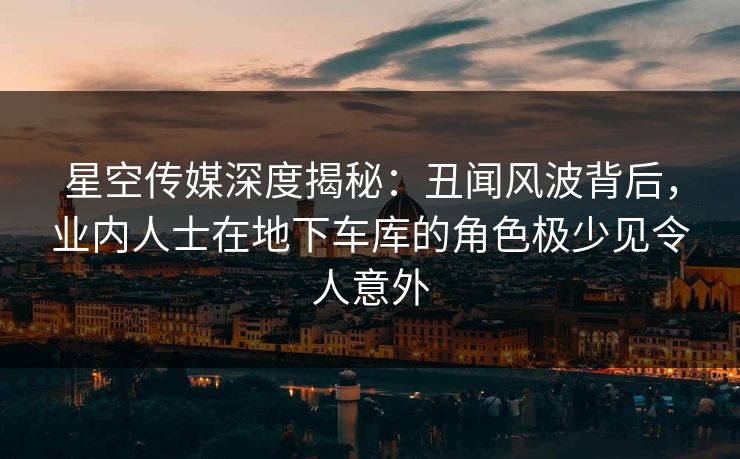 星空传媒深度揭秘：丑闻风波背后，业内人士在地下车库的角色极少见令人意外